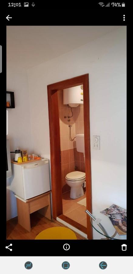 Apartments Bikica Vrnjačka Banja Buitenkant foto